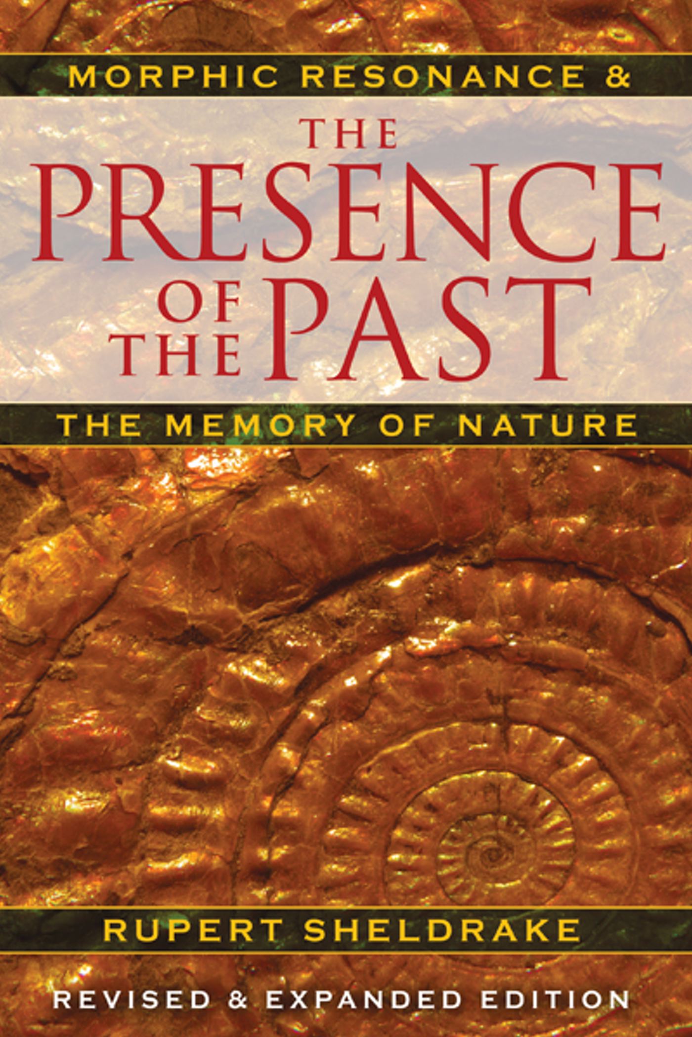 The Presence of the Past book